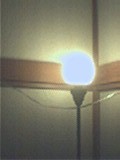 ou[ԐڏƖiJTjd25W