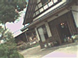tomaya