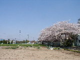 april